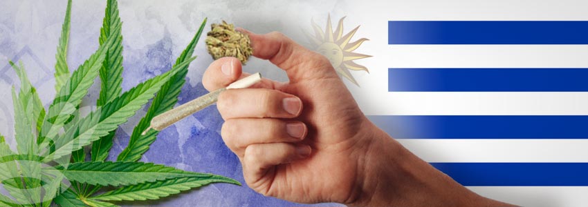 Cannabisfreundlichsten Länder: Uruguay